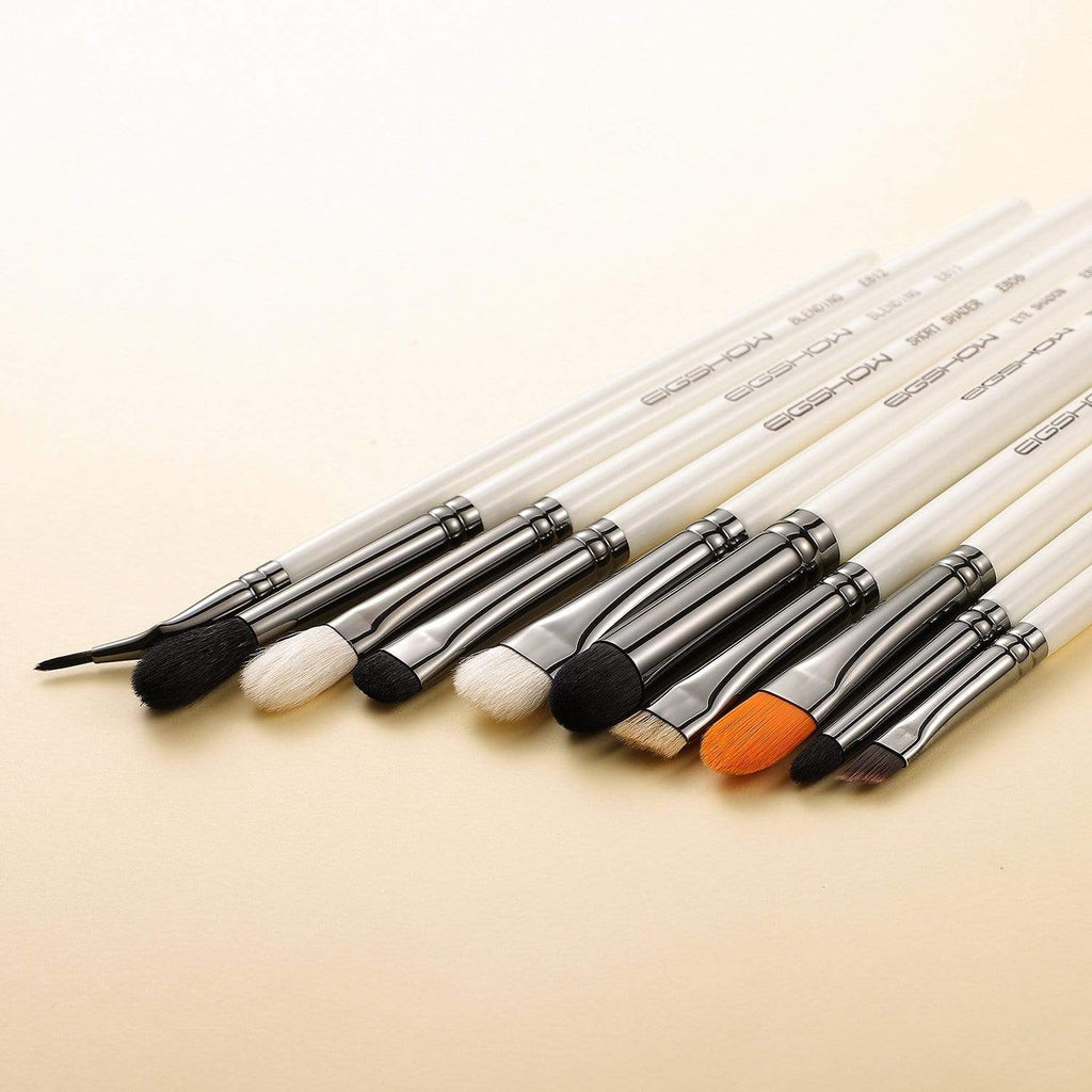 10 PCS EYE BRUSH KIT - LIGHT GUN BLACK